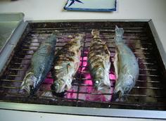 ご臨終直後の魚たち