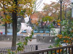 部屋から見た公園