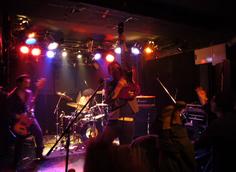 フジロックにも出たジャズネコさん